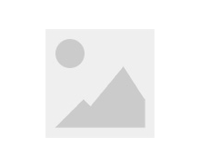 光速自動(dòng)化機(jī)械設(shè)備有限公司喬遷大吉